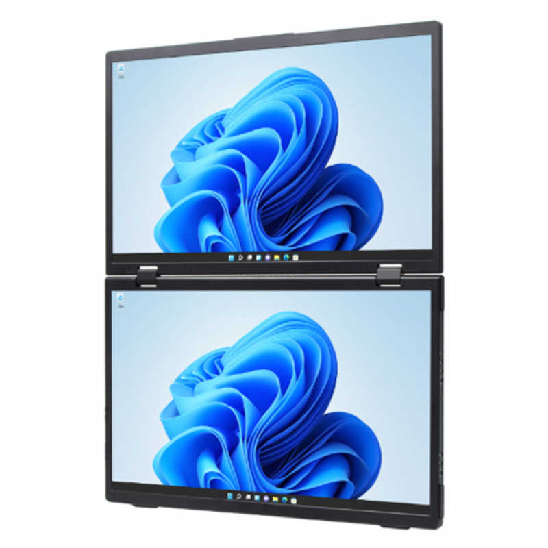 ITPROTECH ITPROTECH USB-C接続 デュアルPCモニター ［15.6型 ×2/フルHD(1920×1080) /ワイド］ ［15.6型 /有機EL フルHD(1920×1080) /ワイド］ ブラック LCD15HC-IPSDUAL LCD15HC-IPSDUAL