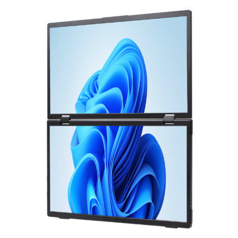 ITPROTECH ITPROTECH USB-C接続 デュアルPCモニター ［15.6型 ×2/フルHD(1920×1080) /ワイド］ ［15.6型 /有機EL フルHD(1920×1080) /ワイド］ ブラック LCD15HC-IPSDUAL LCD15HC-IPSDUAL