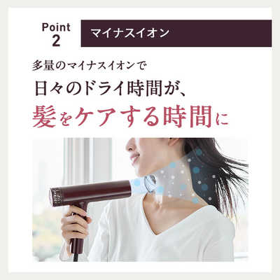 ルメント ルメント イオンケアドライヤー LMICD01 の通販 | カテゴリ 