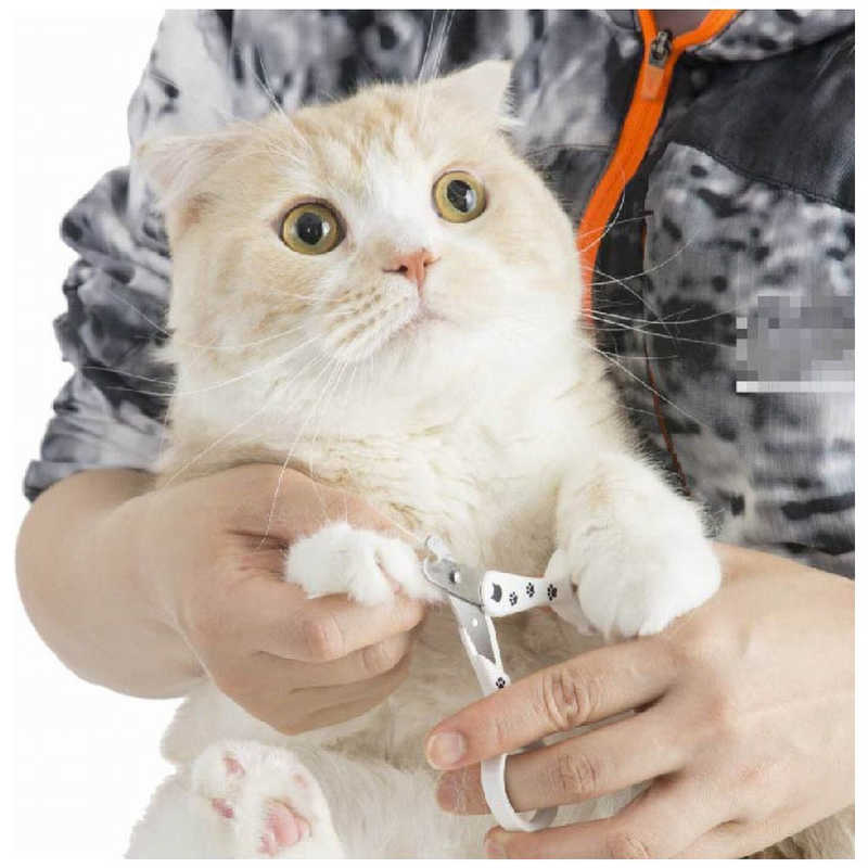 猫壱 猫壱 ストレスなくスパッと切れる猫用爪切り  