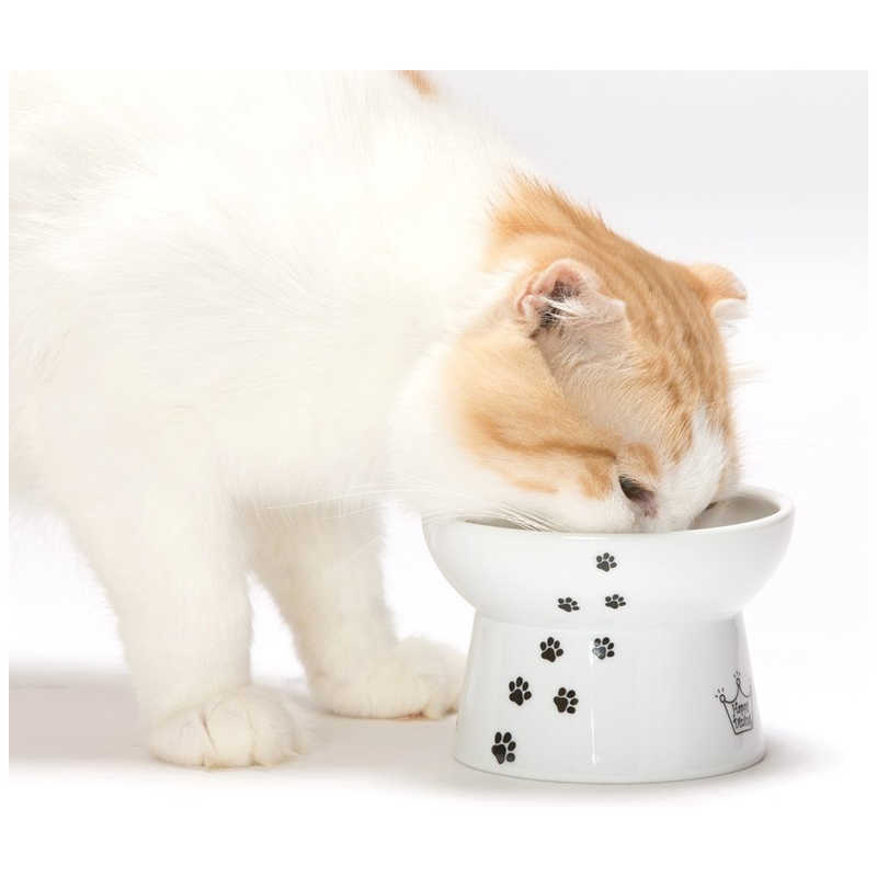 猫壱 猫壱 ハッピーダイニング脚付フードボウル猫柄シリコン付き  