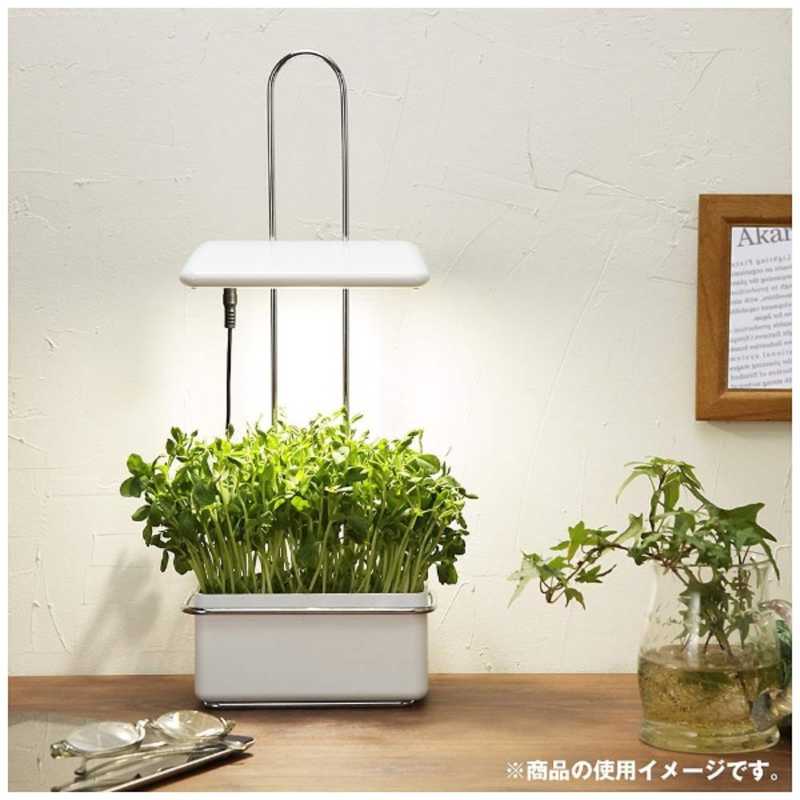 オリンピア照明 オリンピア照明 LED植物栽培機 ｢Akarina15｣ OMA15 OMA15 OMA15