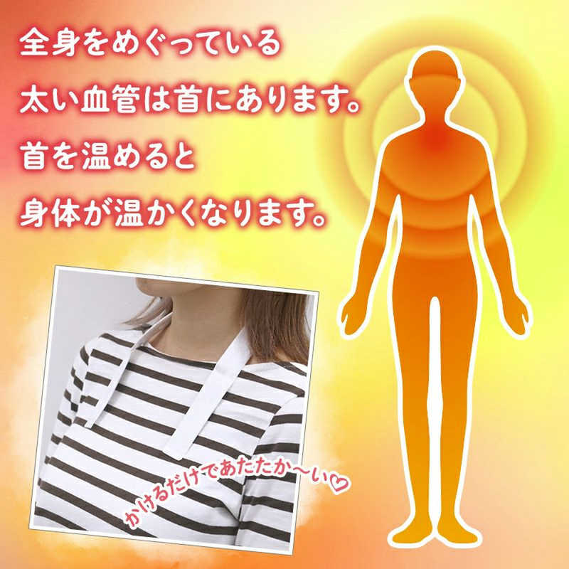 レック レック 温めぐり かけぽか 1個 かけぽか  