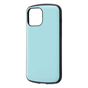 ���C�A�E�g iPhone 13 Pro Max�Ή� 6.7inch �ϏՌ� ProCa RTP33AC3PA