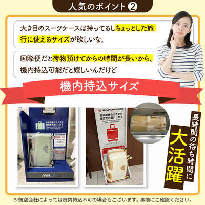 WINDEEAR キャリーケース NEWキッズトラベルmini ブラック 8038