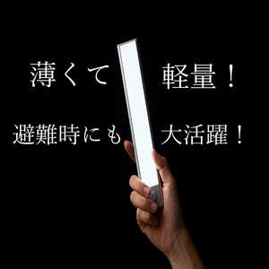 星岡商事 7Life 薄型LEDセンサー ライト-S210mm 暖黄色 LED Sensor Light LEDLAMP-B-S-YE 星岡商事 7Life 薄型LEDセンサー ライト-S210mm 暖黄色 LED Sensor Light LEDLAMP-B-S-YE