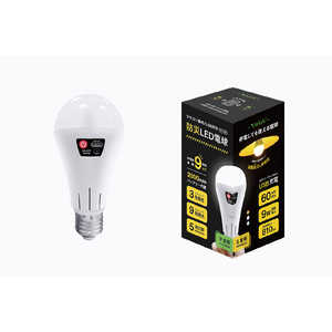 LIVAIA USB[dRhLEDd mE26 / ʓd` / 60W / EF / USB[d / 1n FF-01B