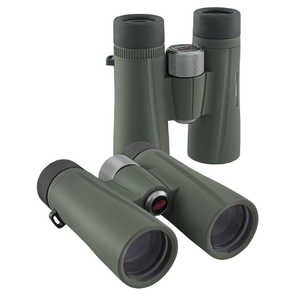 KOWA 双眼鏡 (10倍) BDII42-10XD KOWA 双眼鏡 (10倍) BDII42-10XD