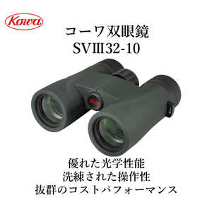 SVIII32-10