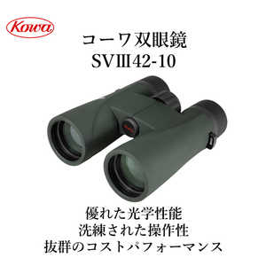 SVIII42-10