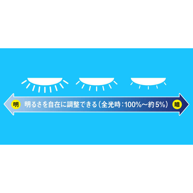 東芝　TOSHIBA 東芝　TOSHIBA LEDシーリングライト 12畳 昼光色～電球色 リモコン付属 導光板 間接光 NLEH12015A-LC NLEH12015A-LC