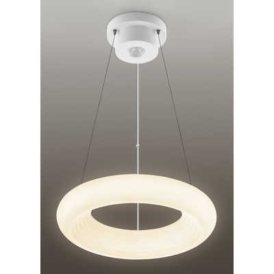 TOSHIBA(東芝) LEDペンダントライト NLEP12000A-LC ［12畳 /昼光色〜電球色 /リモコン付属］ TOSHIBA⁄東芝 NLEP12000A-LC LEDペンダントライト〜12畳・調色・調光