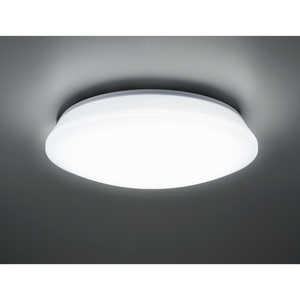  TOSHIBA LEDV[OCg  m8 / F?dF / Rtn NLEH08052E-LC