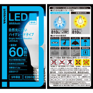 ビックアイデア LED電球 E26 一般電球形 60W相当 昼光色 1個 全方向タイプ 【安心5年保証】 LDA7D-G/SK60XBIT