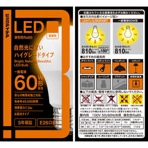 ビックアイデア LED電球 E26 一般電球形 60W相当 電球色 1個 広配光タイプ 【安心5年保証】 LDA7L-G/SK60XBIT
