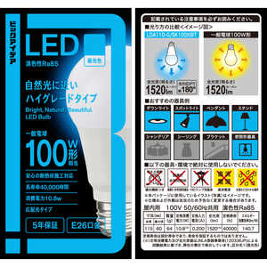 ビックアイデア LED電球 E26 一般電球形 100W相当 昼光色 1個 広配光タイプ 【安心5年保証】 LDA11D-G/SK100XBIT