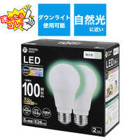 ゴルゴ　LED電球100W型 light-o-8121020202_1.jpg