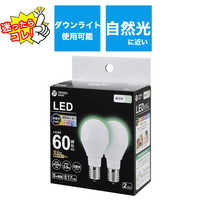 口金 E17 LED電球の商品一覧 | 家電通販のコジマネット - 全品代引き