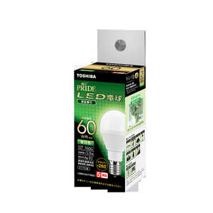  TOSHIBA F^CvLEDdE17A`60W Fm1 /S^Cvn LDA6N-D-G-E17/S60V1