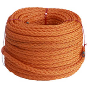 {D pIW[v(t[eBO[v) 8×30M tJEIW[vt[eB