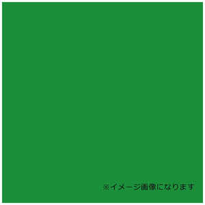 デュポンスタイロ ウッドラックパネル カラー グリーン 5mm厚 760 1080 素板 40枚梱包 ウッドラックパネルカラーグリーン5 デュポンスタイロ ウッドラックパネル カラー グリーン 5mm厚 760 1080 素板 40枚梱包 ウッドラックパネルカラーグリーン5