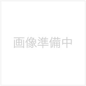 三昭紙業 コンパクトメガネクロス 10個セット KC25NII KC25-NII 三昭紙業 コンパクトメガネクロス 10個セット KC25NII KC25-NII