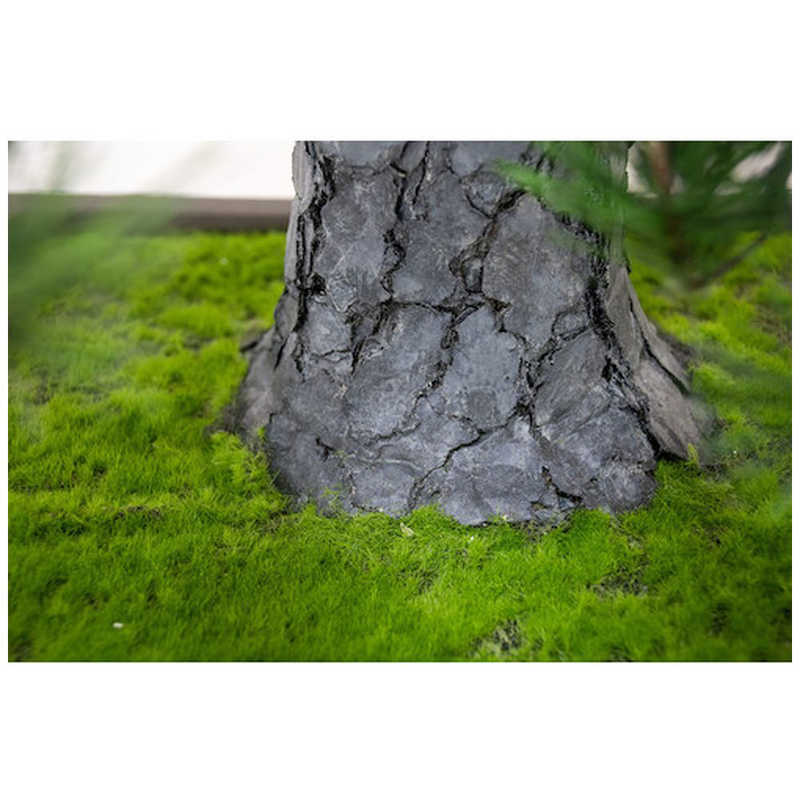 岩や 岩や 人工樹木/人工観葉植物 松盆栽 小 ｼﾞﾝｺｳｼﾞｭﾓｸ/ｼﾞﾝｺｳｶﾝﾖｳ ｼﾞﾝｺｳｼﾞｭﾓｸ/ｼﾞﾝｺｳｶﾝﾖｳ