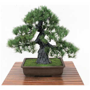 岩や 人工樹木/人工観葉植物 松盆栽 小 ジンコウジュモク/ジンコウカンヨウ 岩や 人工樹木/人工観葉植物 松盆栽 小 ジンコウジュモク/ジンコウカンヨウ
