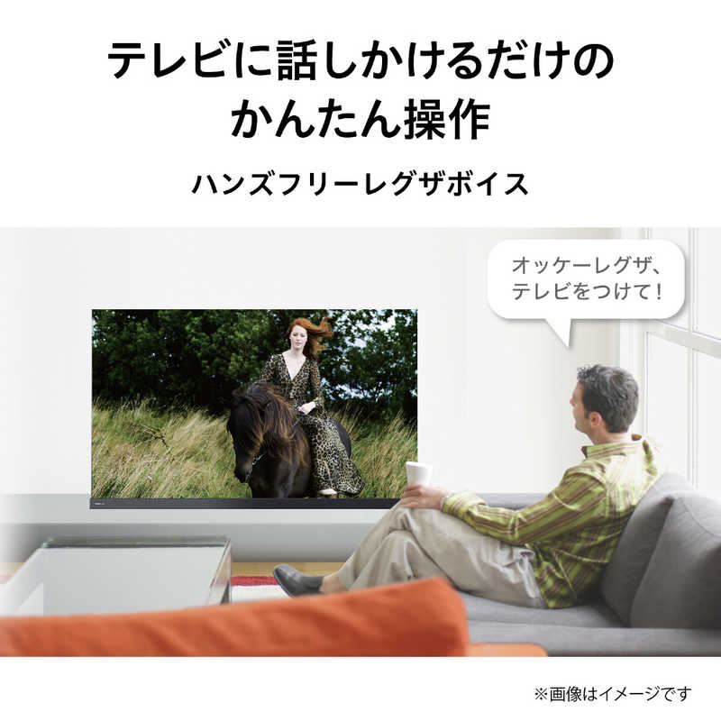 東芝　TOSHIBA 東芝　TOSHIBA 55V型 4K対応有機ELテレビ REGZA(レグザ)[4Kチューナー内蔵/YouTube対応] 55X9400 55X9400