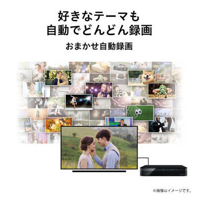 東芝 TOSHIBA タイムシフトマシンハードディスク REGZA（レグザ