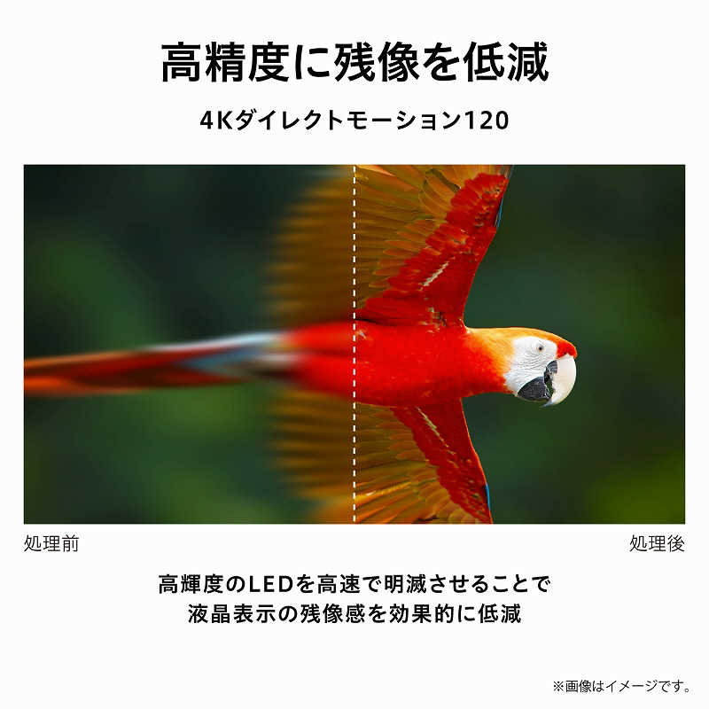 東芝 TOSHIBA REGZA (レグザ) 液晶テレビ 43V型 4Kチューナー内蔵 43C350X の通販 | カテゴリ：テレビ・レコーダー | 東芝  TOSHIBA 家電通販のコジマネット - 全品代引き手数料無料
