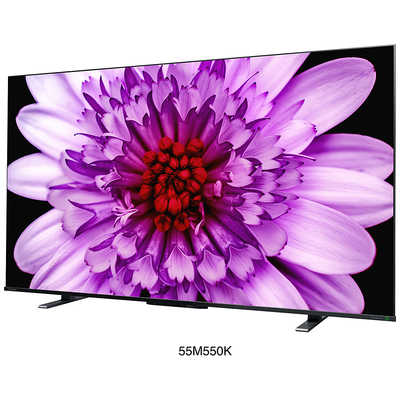 TVS REGZA 液晶テレビ REGZA ( レグザ ) [ 55V型 / 4Kチューナー内蔵 