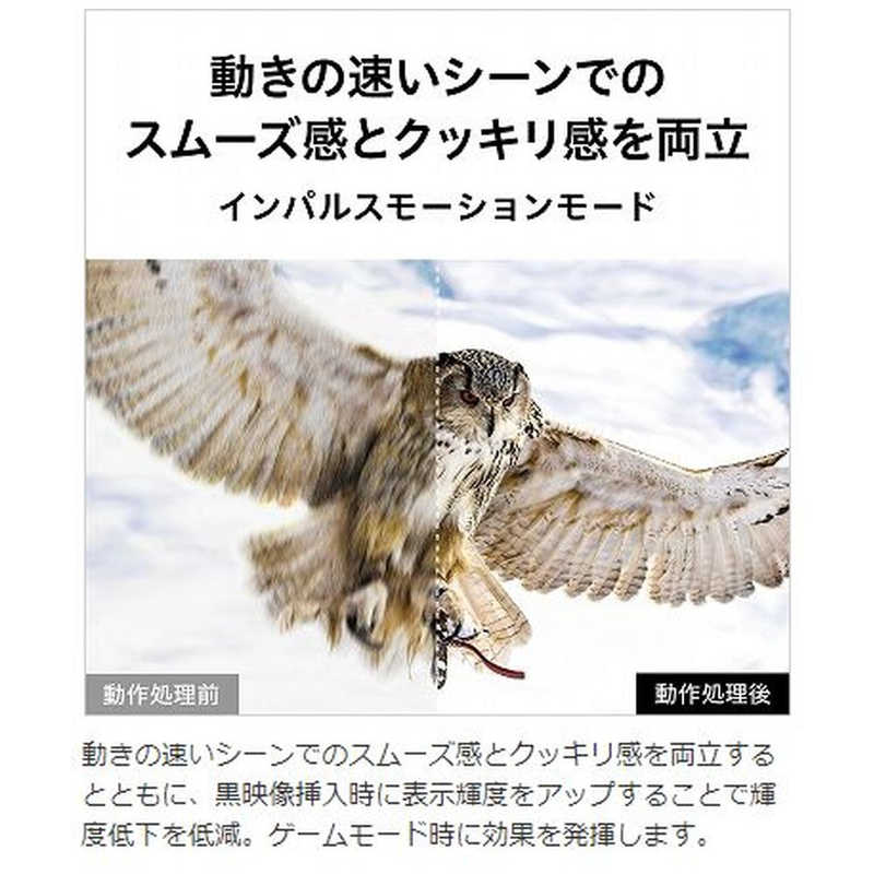 TVS REGZA TVS REGZA 有機ELテレビ REGZA レグザ 48V型 4K対応 BS・CS 4Kチューナー内蔵 YouTube対応 48X9400S　 48X9400S　