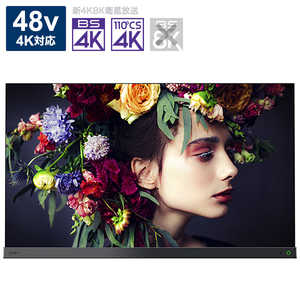 TVS REGZA 有機ELテレビ REGZA レグザ 48V型 4K対応 BS・CS 4Kチューナー内蔵 YouTube対応 48X9400S　