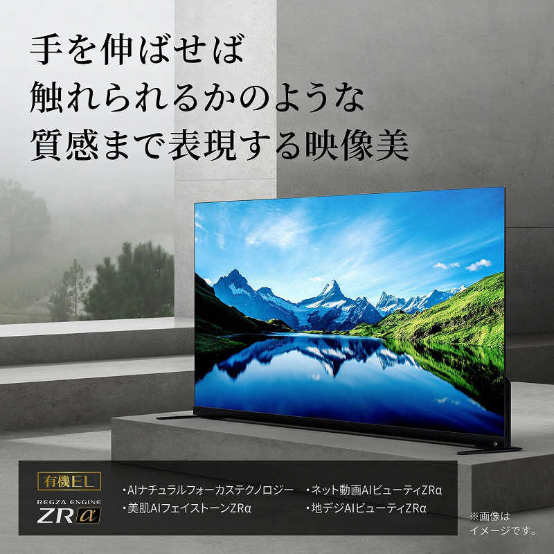 TVS REGZA TVS REGZA 有機ELテレビ REGZA レグザ 65V型 4K対応 BS・CS 4Kチューナー内蔵 YouTube対応 65X9900L 65X9900L