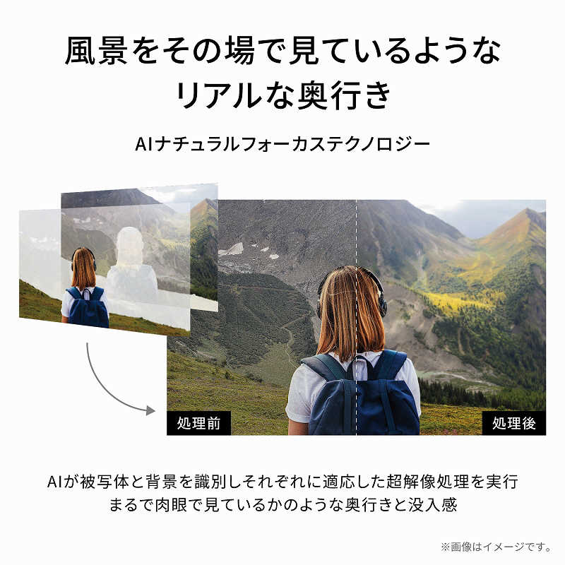 TVS REGZA TVS REGZA 有機ELテレビ REGZA レグザ 65V型 4K対応 BS・CS 4Kチューナー内蔵 YouTube対応 65X9900L 65X9900L