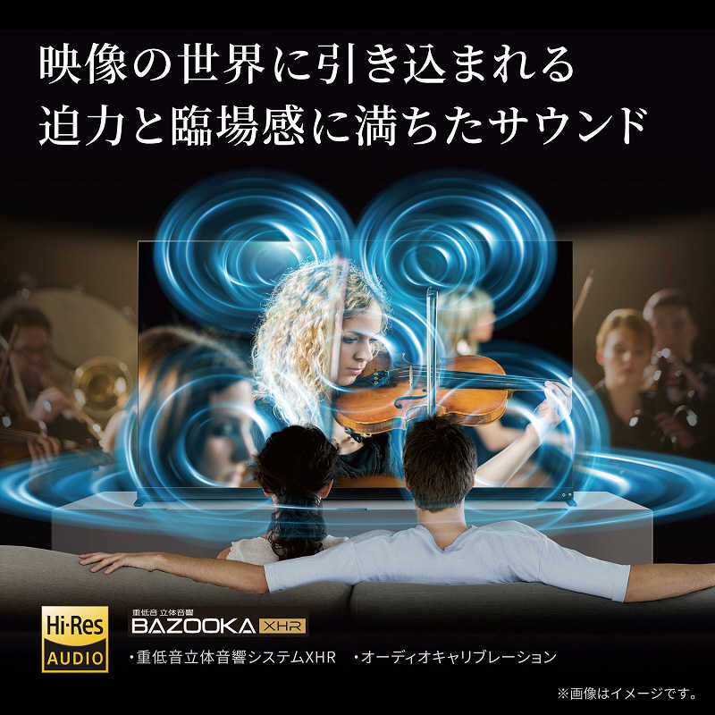 TVS REGZA TVS REGZA 有機ELテレビ REGZA レグザ 65V型 4K対応 BS・CS 4Kチューナー内蔵 YouTube対応 65X9900L 65X9900L