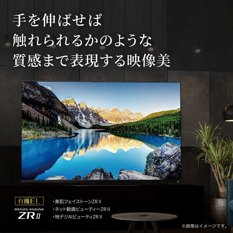 TVS REGZA TVS REGZA 有機ELテレビ 65V型 4Kチューナー内蔵 65X8900L 65X8900L