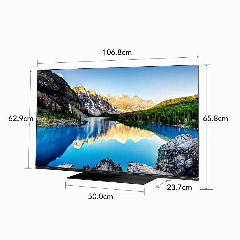 TVS REGZA TVS REGZA 有機ELテレビ REGZA レグザ 48V型 4K対応 BS・CS 4Kチューナー内蔵 YouTube対応 48X8900L 48X8900L