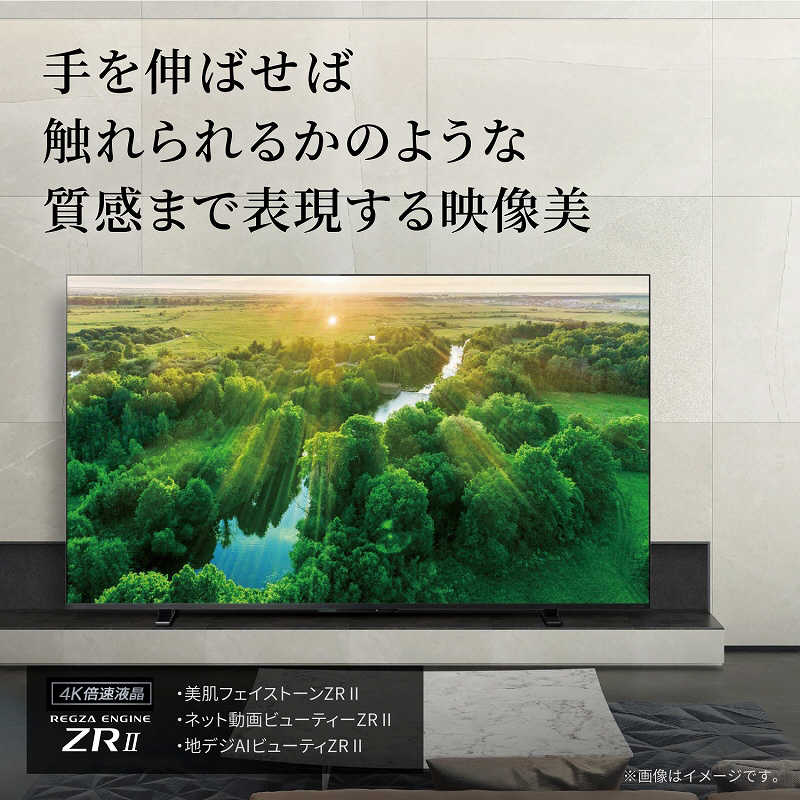 TVS REGZA TVS REGZA 液晶テレビ  43V型 4Kチューナー内蔵 43Z570L 43Z570L