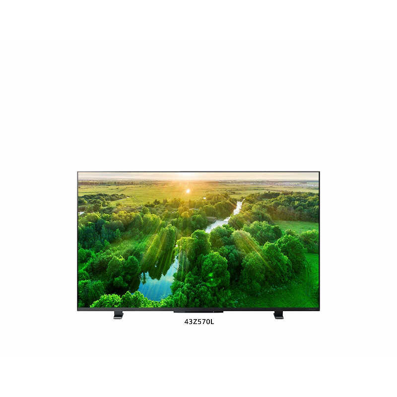 TVS REGZA TVS REGZA 液晶テレビ  43V型 4Kチューナー内蔵 43Z570L 43Z570L