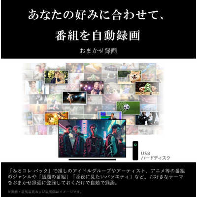 TVS REGZA 液晶テレビ REGZA レグザ [ 65V型 / 4Kチューナー内蔵