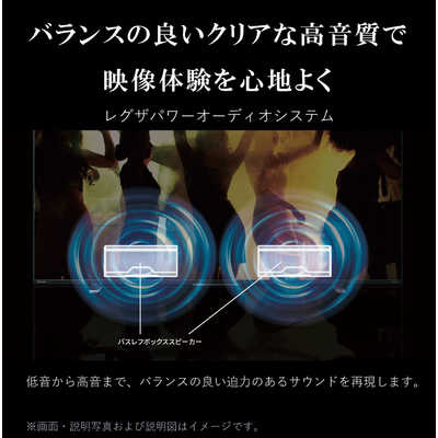 TVS REGZA 液晶テレビ REGZA レグザ E350Mシリーズ [ 55V型 / Apple