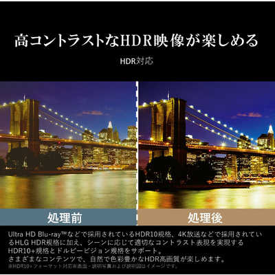 TVS REGZA 4K液晶テレビ REGZA(レグザ) E350Mシリーズ [50V型