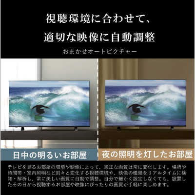 TVS REGZA 液晶テレビ REGZA レグザ E350Mシリーズ [ 43V型 / Apple