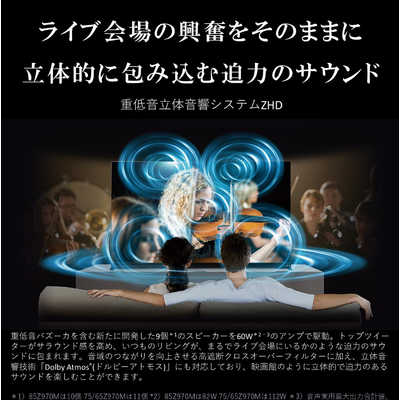 TVS REGZA Mini LED 液晶テレビ REGZA レグザ [ 100V型 / 4K