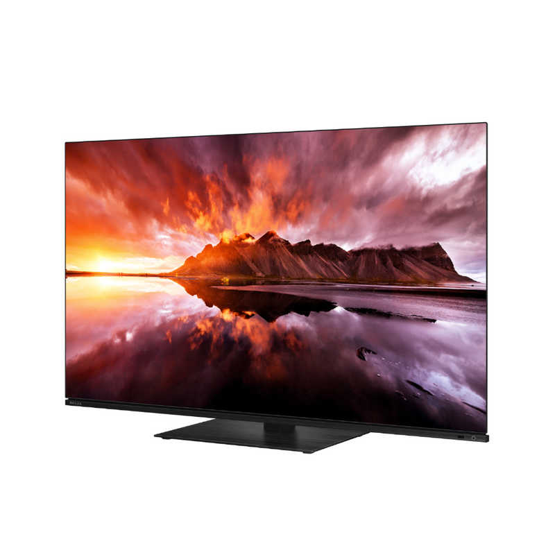 TVS REGZA TVS REGZA 有機ELテレビ REGZA(レグザ) [48V型 /Bluetooth対応 /4K対応 /BS・CS 4Kチューナー内蔵 /YouTube対応] 48X8900N 48X8900N