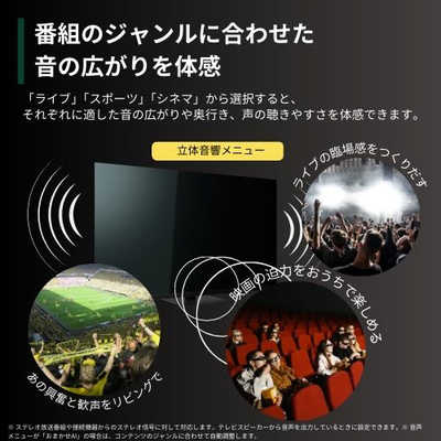 TVS REGZA Mini LED 液晶テレビ REGZA レグザ Z970Nシリーズ