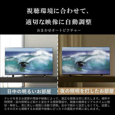 REGZA 75E350M [75インチ] 2024年製 Amazon | REGZA 75インチ Airplay ネット動画対応 4K E350M