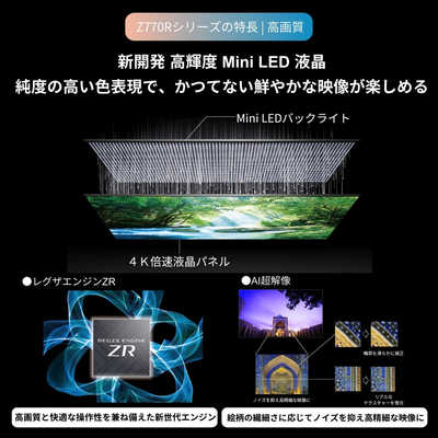 TVS REGZA Mini LED液晶テレビ REGZA [ 55V型 / 4K対応 / YouTube 対応